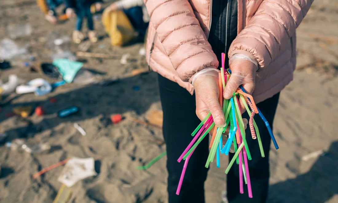 EU regulativa o jednokratnoj plastici